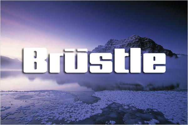 Logo: Brüstle